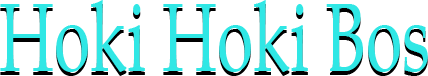 Hoki Hoki Bos